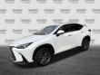 2025 LEXUS NX NX 350 Premium SUV