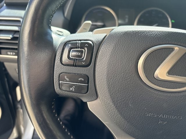 2019 LEXUS NX NX 300h photo 2