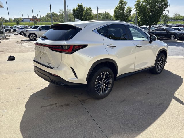 2025 LEXUS NX NX 350 Premium photo 3