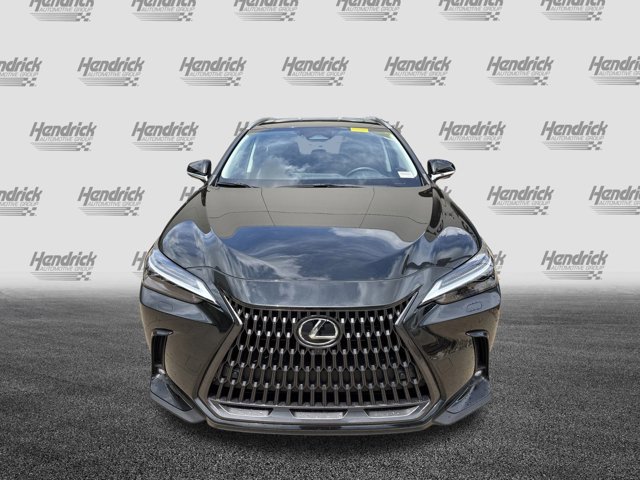 2025 Lexus NX 450h+ Luxury photo 3