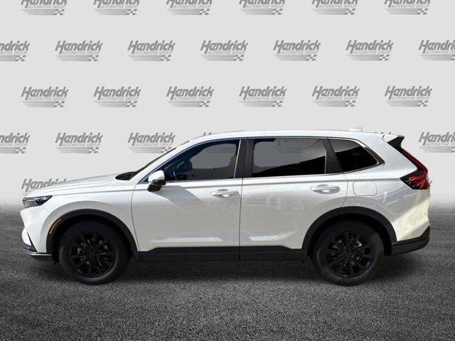 Used 2025 Honda CR-V EX-L SUV