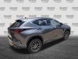 2024 LEXUS NX NX 250 SUV