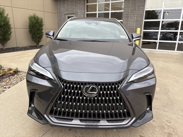 2025 Lexus NX 350 Luxury AWD photo 2
