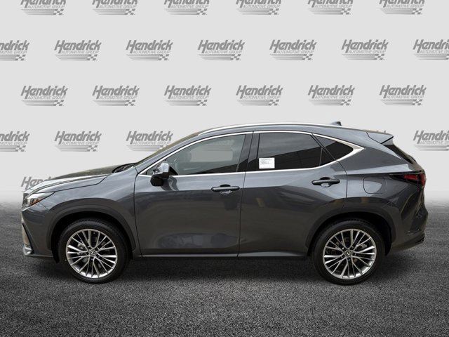 2026 Lexus NX 350h Premium photo 4