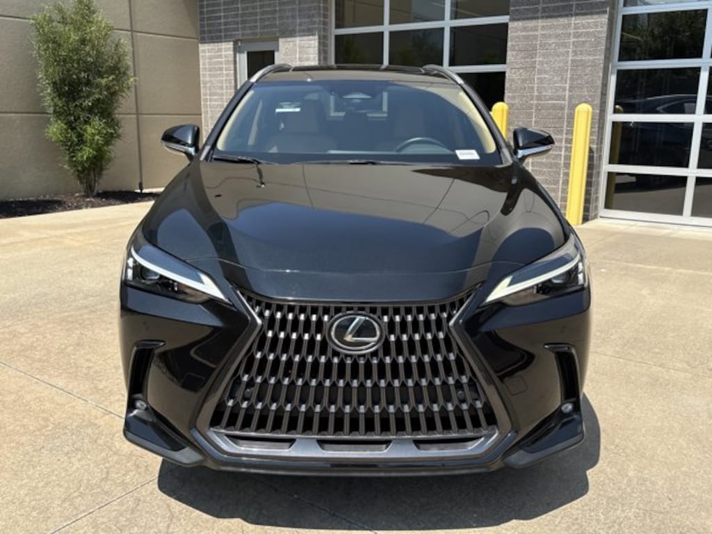 Used 2024 Lexus NX NX 250 Premium SUV
