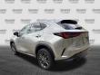 2024 LEXUS NX NX 250 SUV