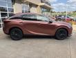 2025 LEXUS RX 350 PREMIUM SUV