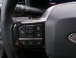 2024 Ford Super Duty F-250 SRW Platinum Pickup