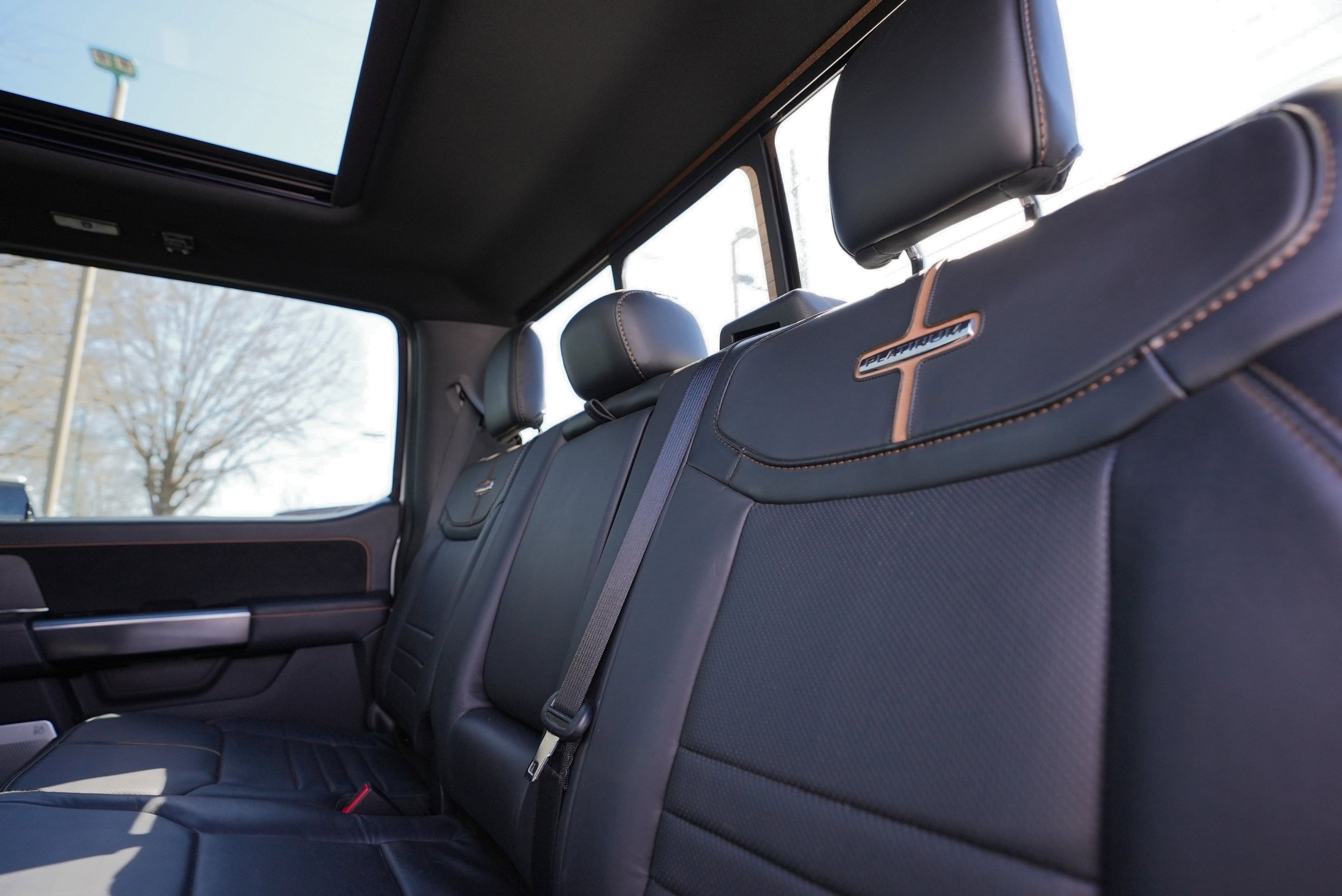 2023 Ford F-150 Platinum photo 3