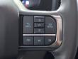 2025 Ford Super Duty F-450 DRW Platinum Crew Cab Pickup