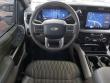 2025 Ford Super Duty F-450 DRW Platinum Crew Cab Pickup