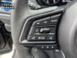 2025 Subaru Forester Limited SUV