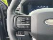 2026 Ford Super Duty F-250 SRW Platinum Pickup