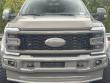 2026 Ford Super Duty F-450 DRW Platinum Pickup