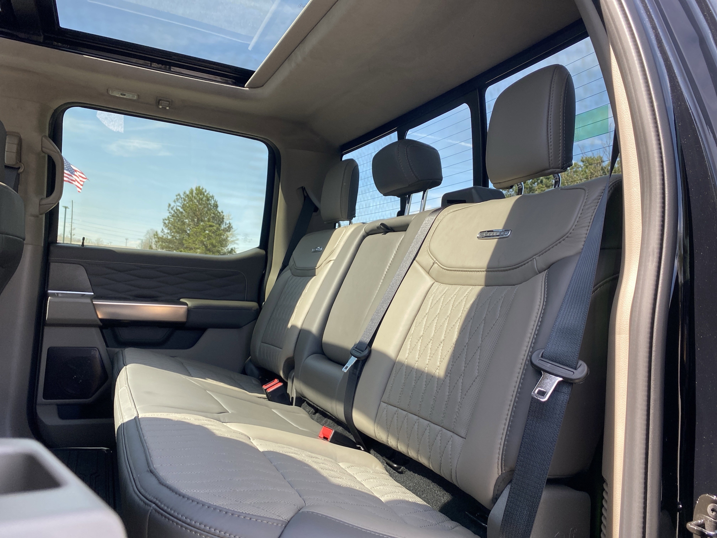 2026 Ford Super Duty F-450 DRW Platinum photo 6