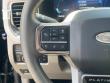 2025 Ford Super Duty F-250 SRW Platinum Pickup