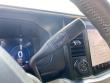 2025 Ford Super Duty F-250 SRW Platinum Pickup