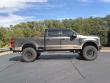 2024 Ford Super Duty F-250 SRW Platinum Pickup