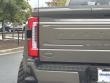 2026 Ford Super Duty F-450 DRW Platinum Pickup