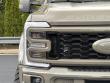 2026 Ford Super Duty F-450 DRW Platinum Pickup