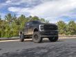 2024 Ford Super Duty F-250 SRW Platinum Pickup