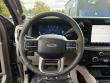 2026 Ford Super Duty F-450 DRW Platinum Pickup