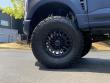2025 Ford Super Duty F-250 SRW Platinum Pickup