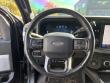 2024 Ford Super Duty F-250 SRW Platinum Pickup