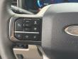 2026 Ford Super Duty F-450 DRW Platinum Pickup