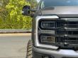 2025 Ford Super Duty F-250 SRW Platinum Pickup