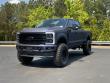 2025 Ford Super Duty F-250 SRW Platinum Pickup