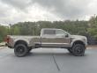 2026 Ford Super Duty F-450 DRW Platinum Pickup