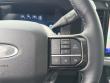 2026 Ford Super Duty F-250 SRW Platinum Pickup