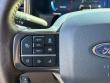 2024 Ford Super Duty F-250 SRW King Ranch Pickup