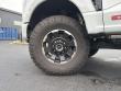 2025 Ford Super Duty F-350 SRW Platinum Pickup