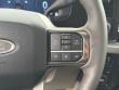 2026 Ford Super Duty F-450 DRW Platinum Pickup