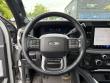 2025 Ford Super Duty F-350 SRW Platinum Pickup