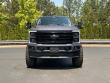 2025 Ford Super Duty F-250 SRW Platinum Pickup