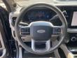 2025 Ford Super Duty F-250 SRW Platinum Pickup