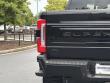 2026 Ford Super Duty F-250 SRW Platinum Pickup
