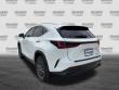 2026 LEXUS NX NX 350 SUV