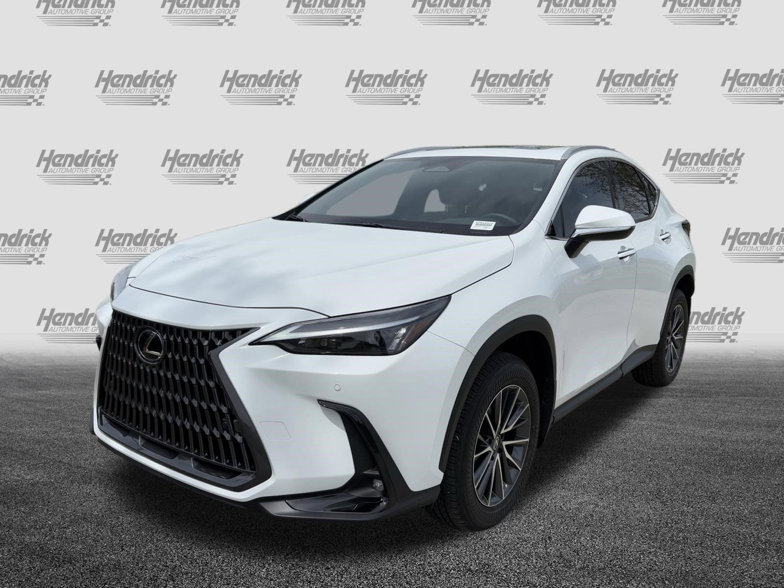 2026 LEXUS NX NX 350 photo 5