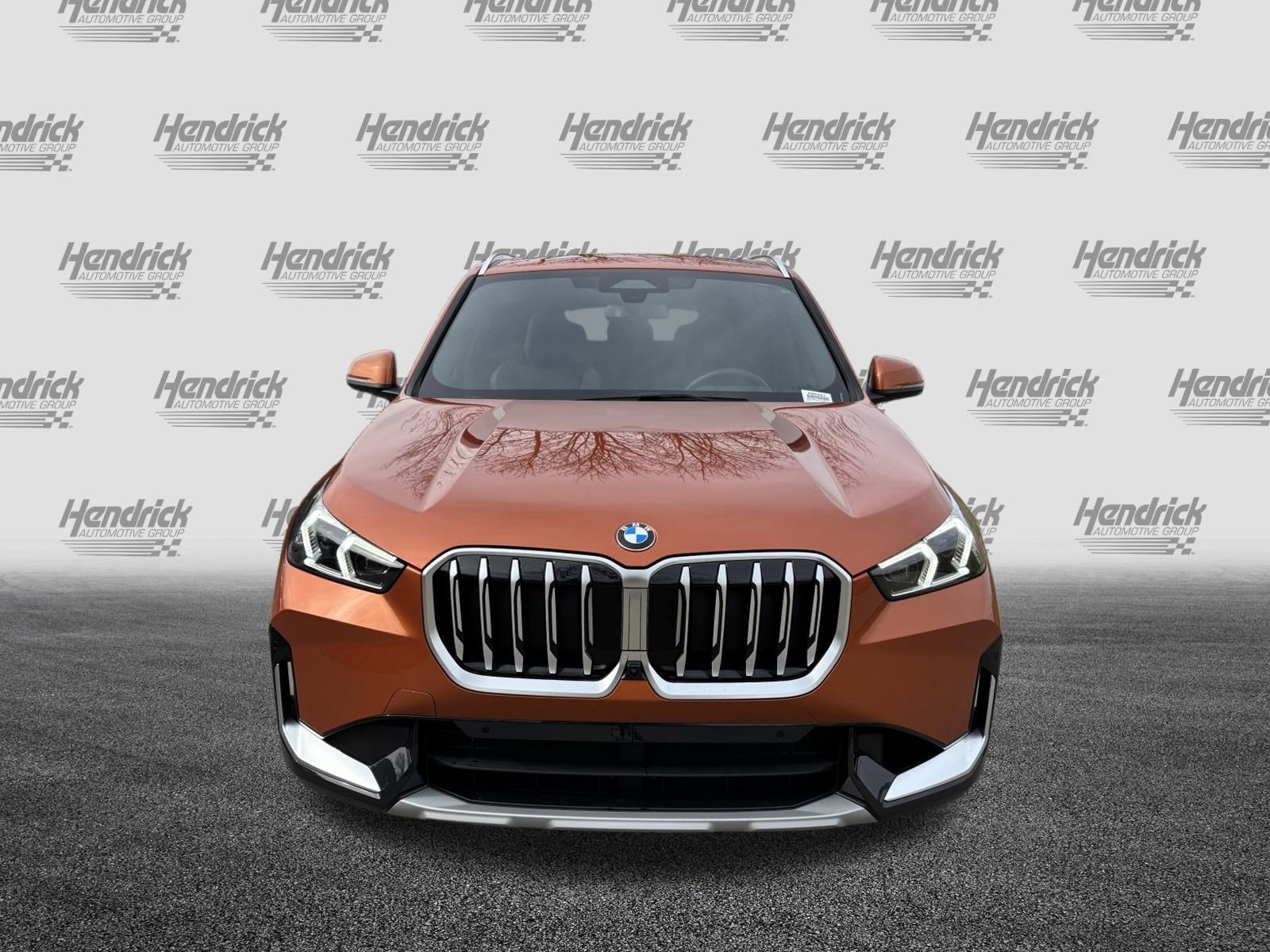 2025 BMW X1 xDrive28i photo 2