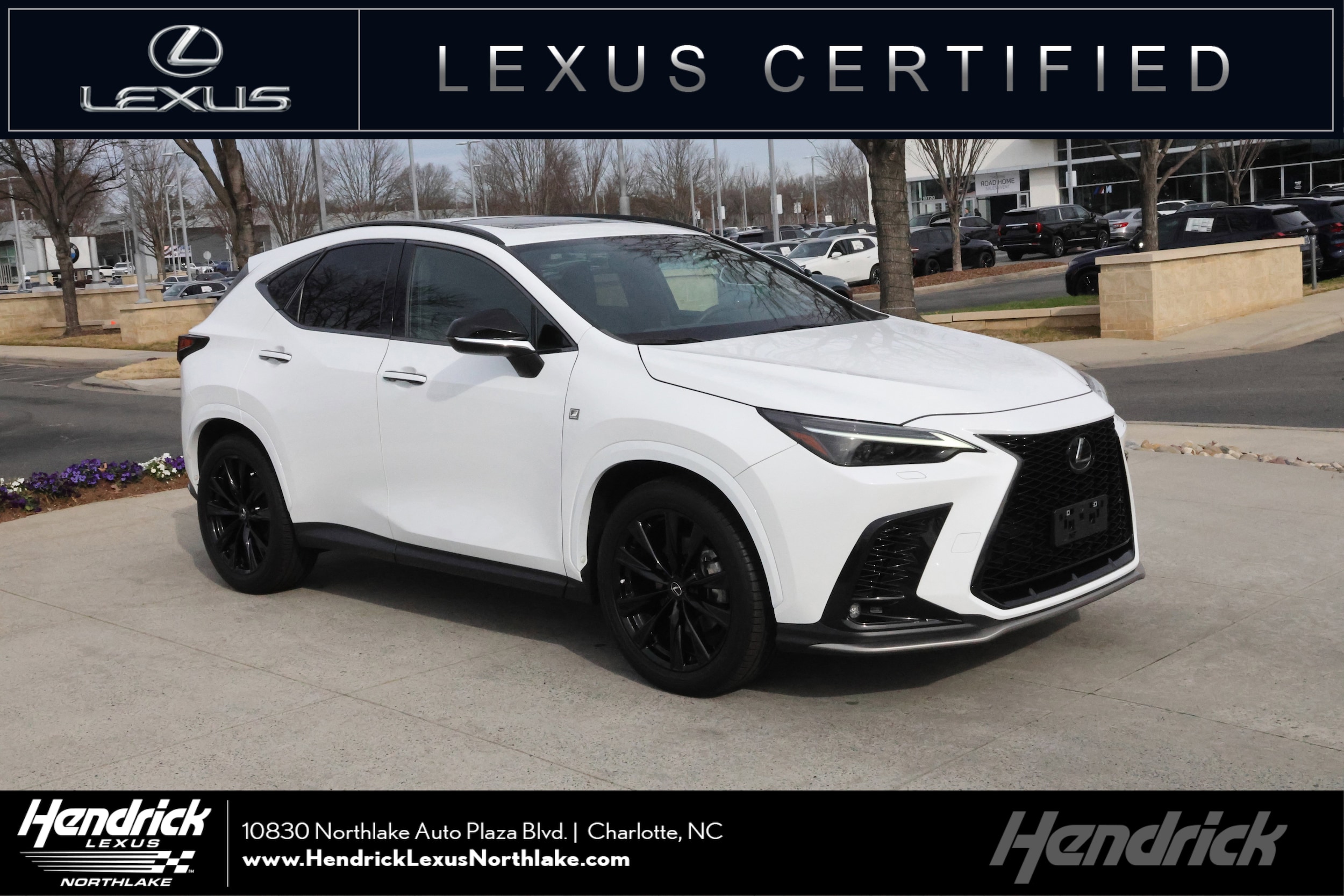 2024 Lexus NX 350's photo