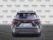 2025 LEXUS NX 250 Premium SUV