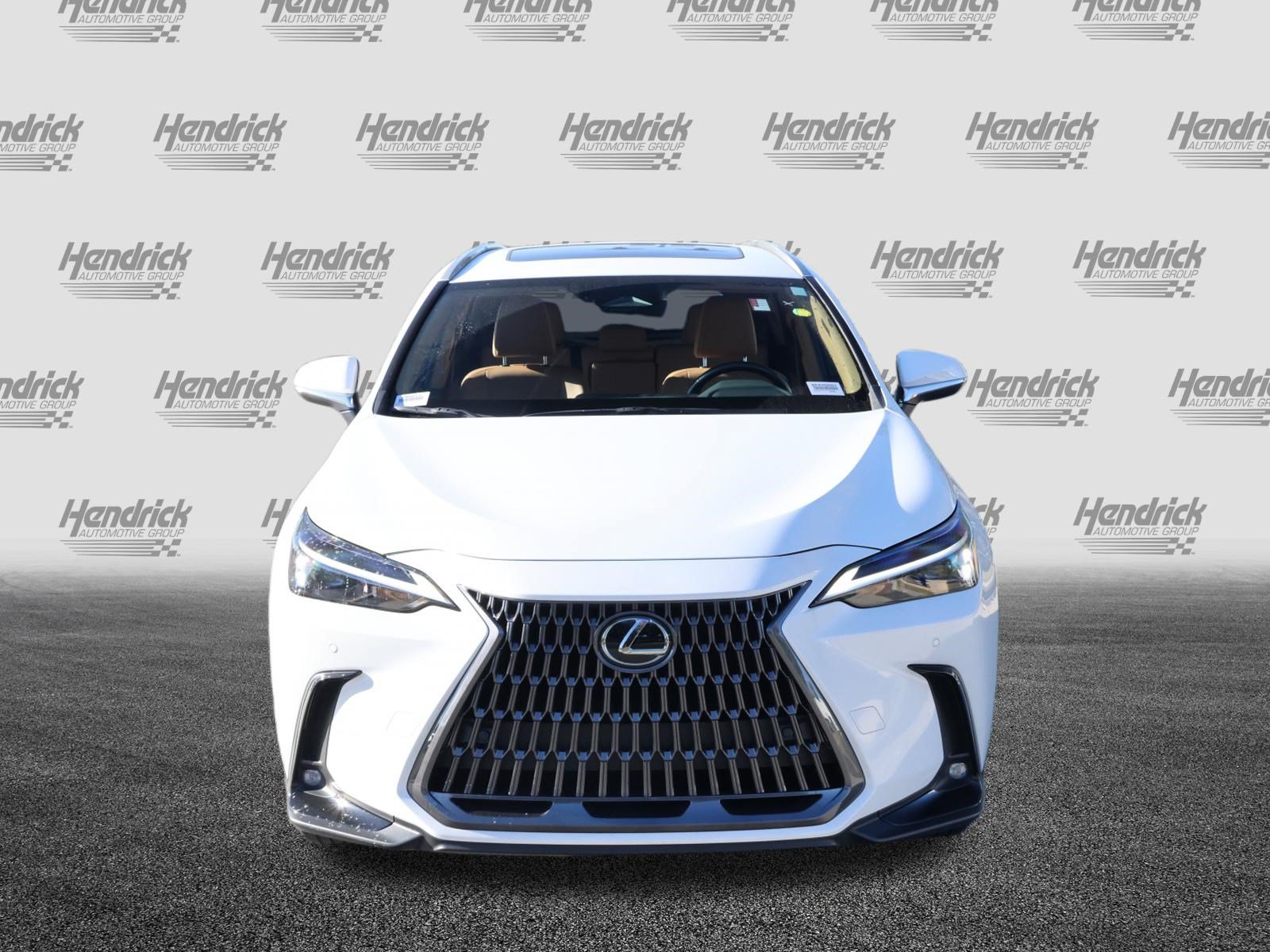 Used 2026 Lexus NX 350 SUV