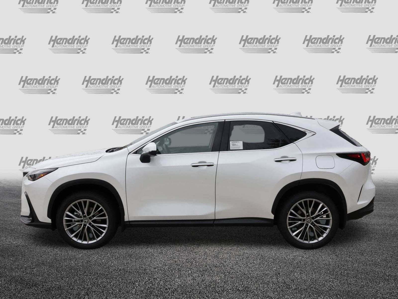 2026 Lexus NX 350h Premium photo 3