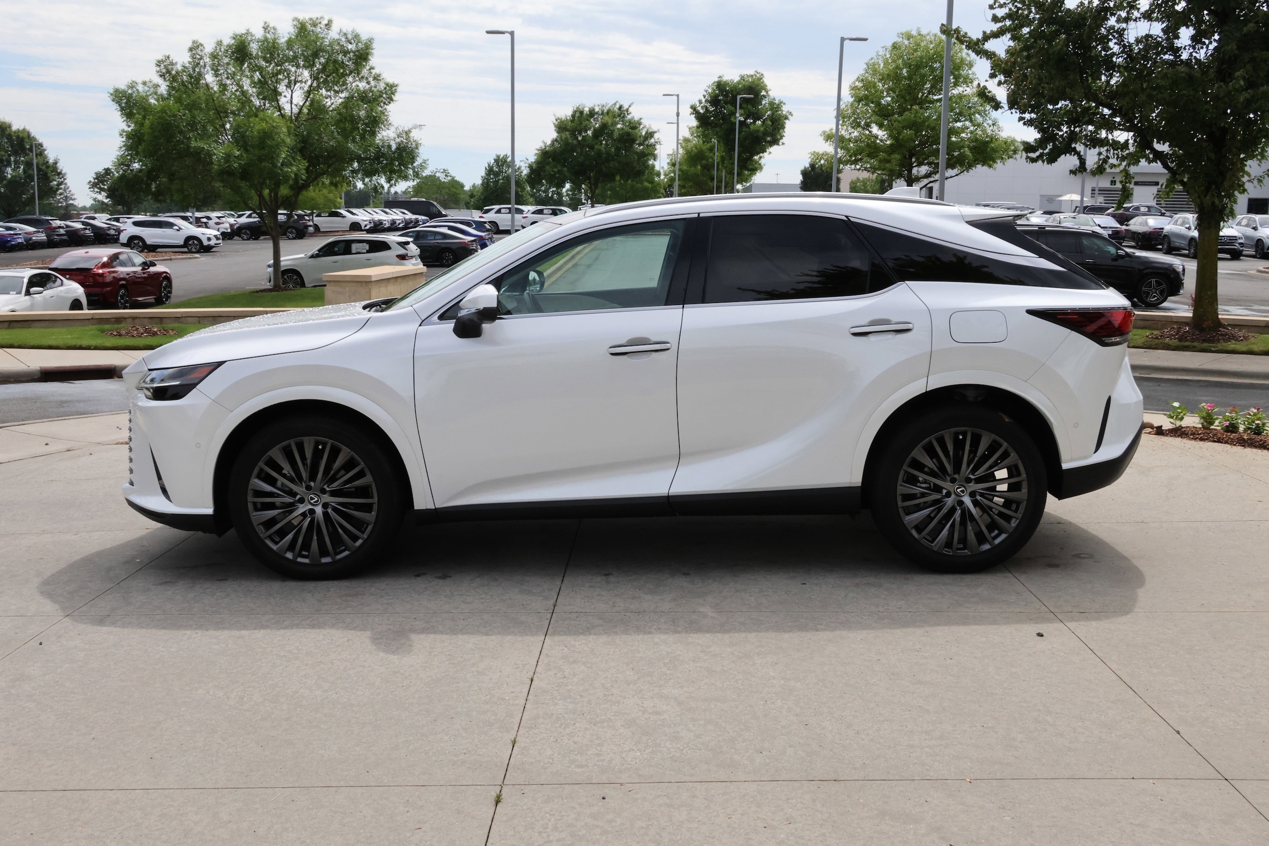 2023 LEXUS RX 350 Luxury photo 4