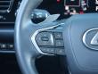 2024 LEXUS NX 250 250 Premium SUV