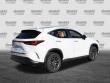 2026 LEXUS NX 350 SUV
